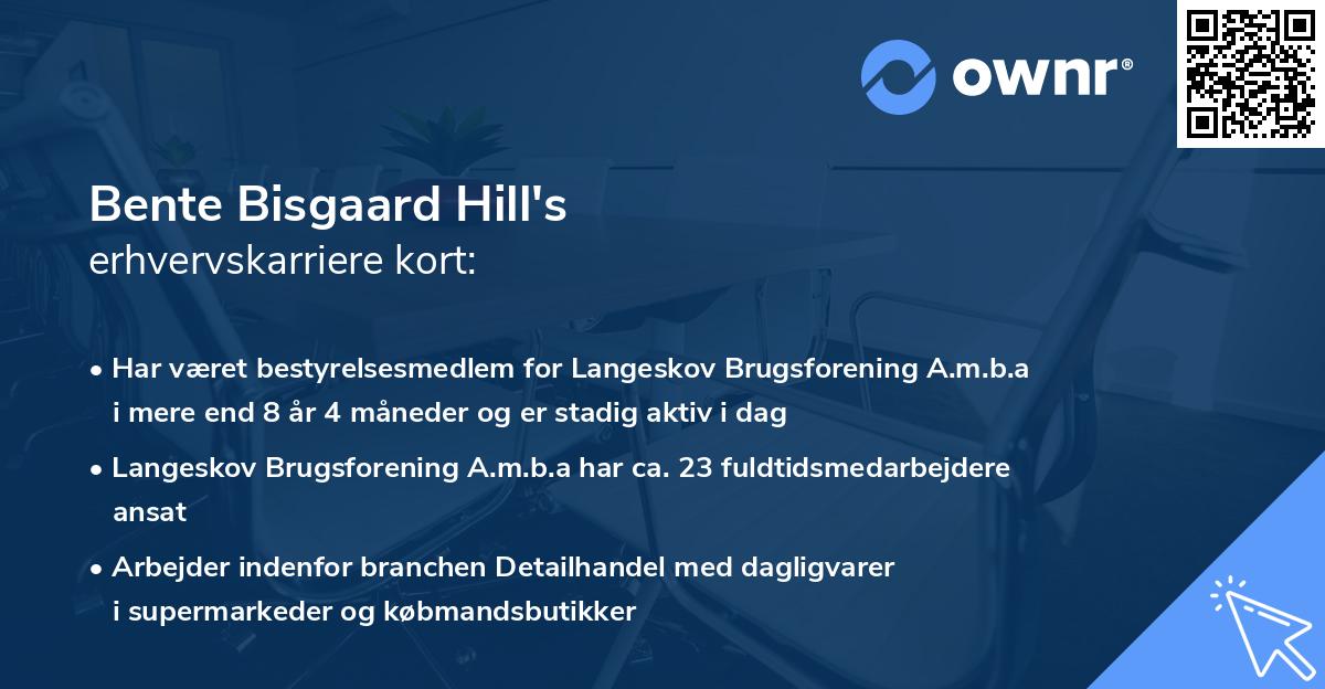 Bente Bisgaard Hill's erhvervskarriere kort