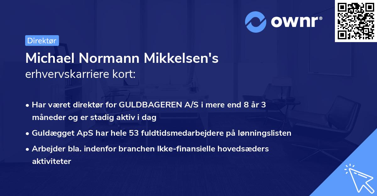 Michael Normann Mikkelsen's erhvervskarriere kort