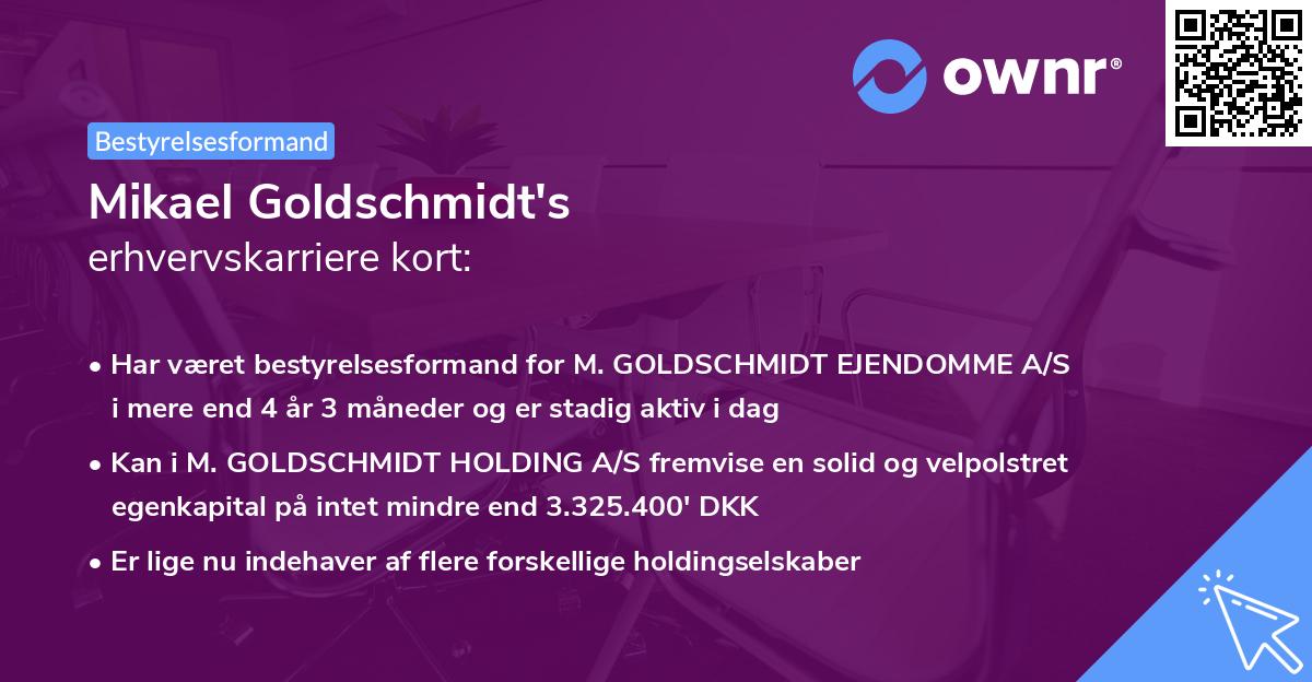 Mikael Goldschmidt's erhvervskarriere kort