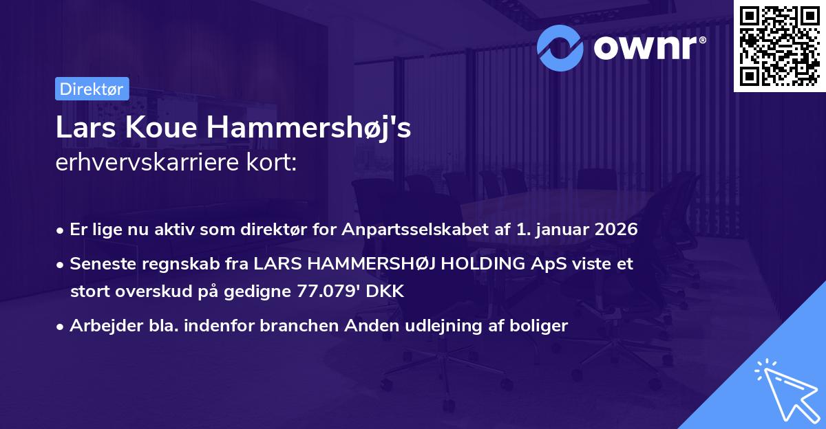 Lars Koue Hammershøj's erhvervskarriere kort