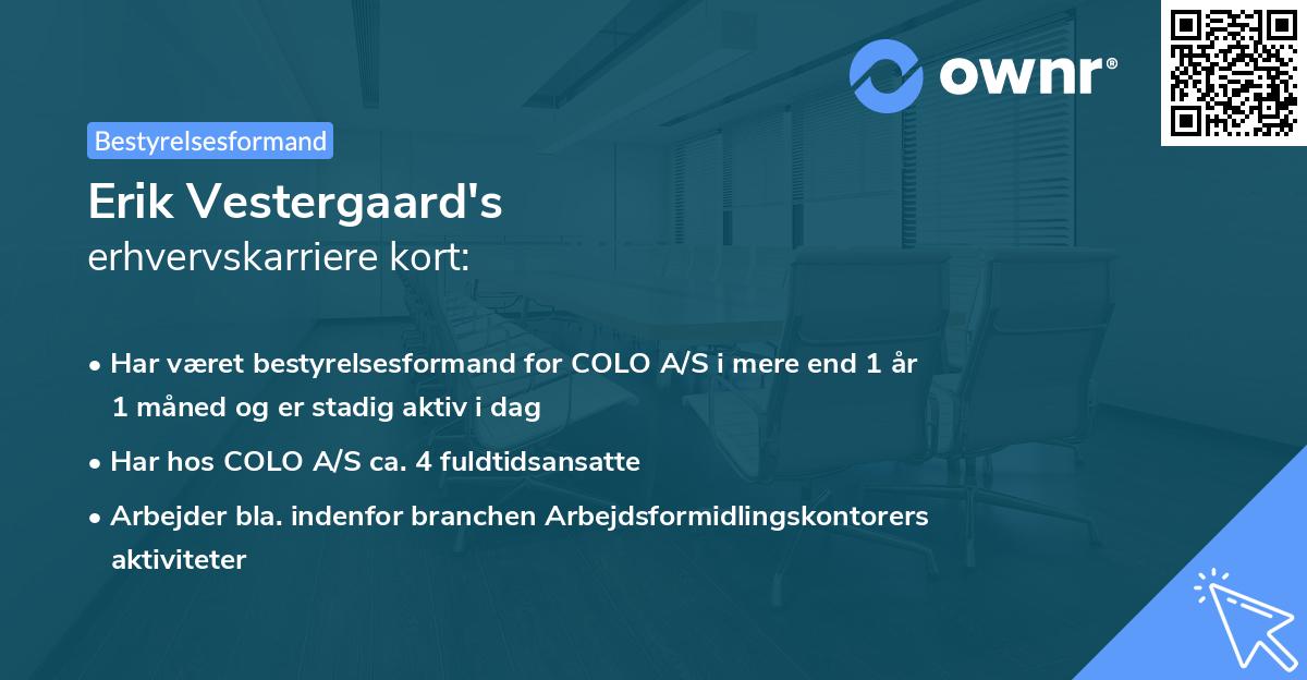 Erik Vestergaard's erhvervskarriere kort