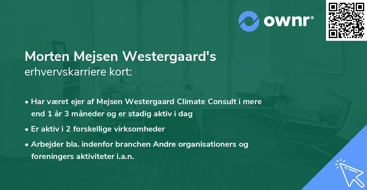 Morten Mejsen Westergaard's erhvervskarriere kort