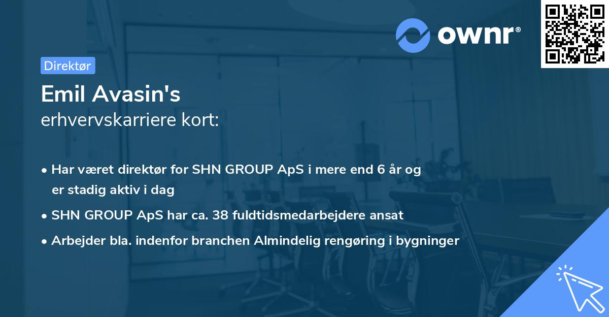 Emil Avasin's erhvervskarriere kort