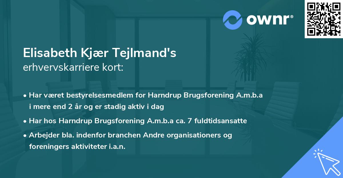 Elisabeth Kjær Tejlmand's erhvervskarriere kort