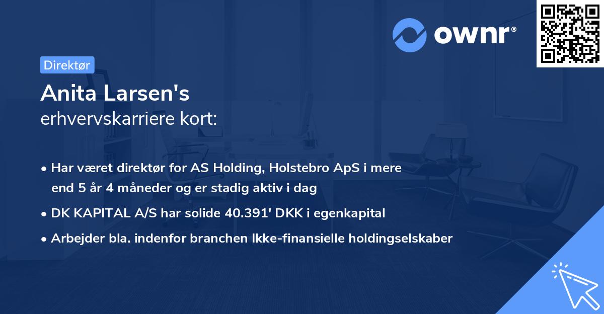 Anita Larsen's erhvervskarriere kort