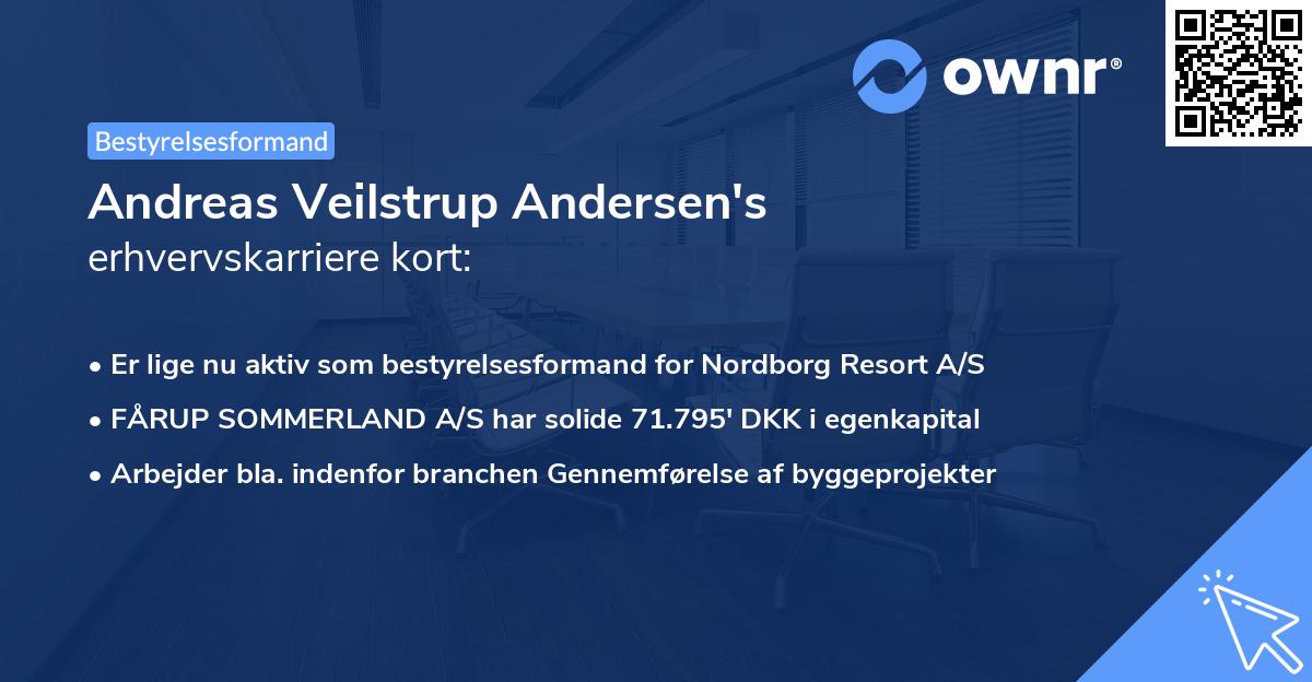 Andreas Veilstrup Andersen's erhvervskarriere kort