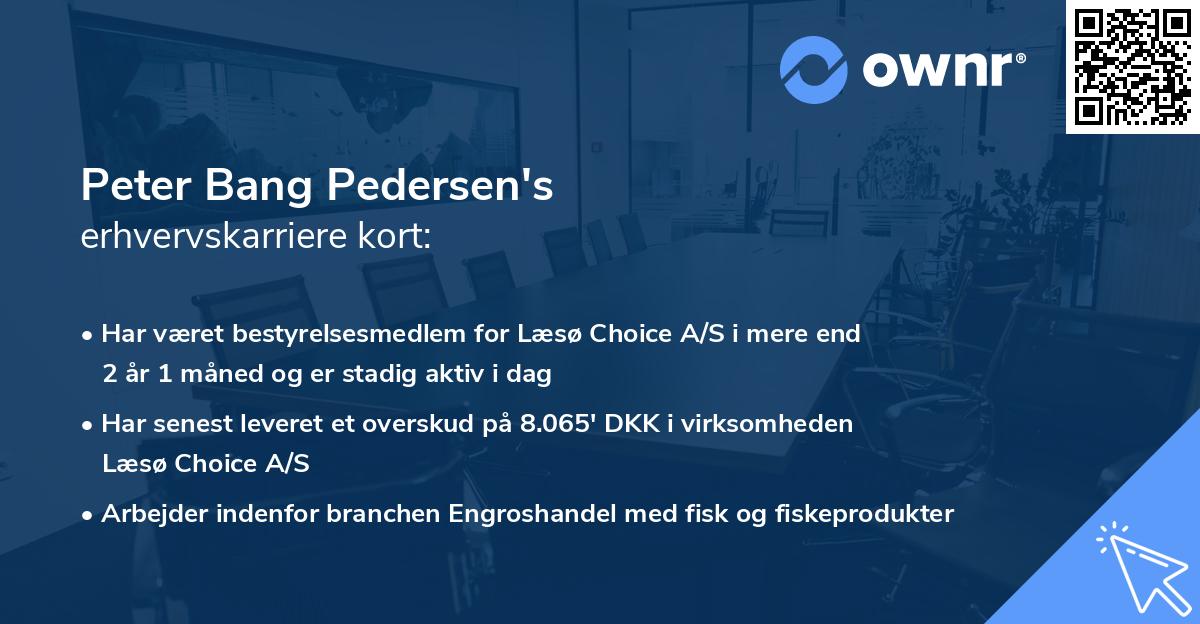 Peter Bang Pedersen's erhvervskarriere kort