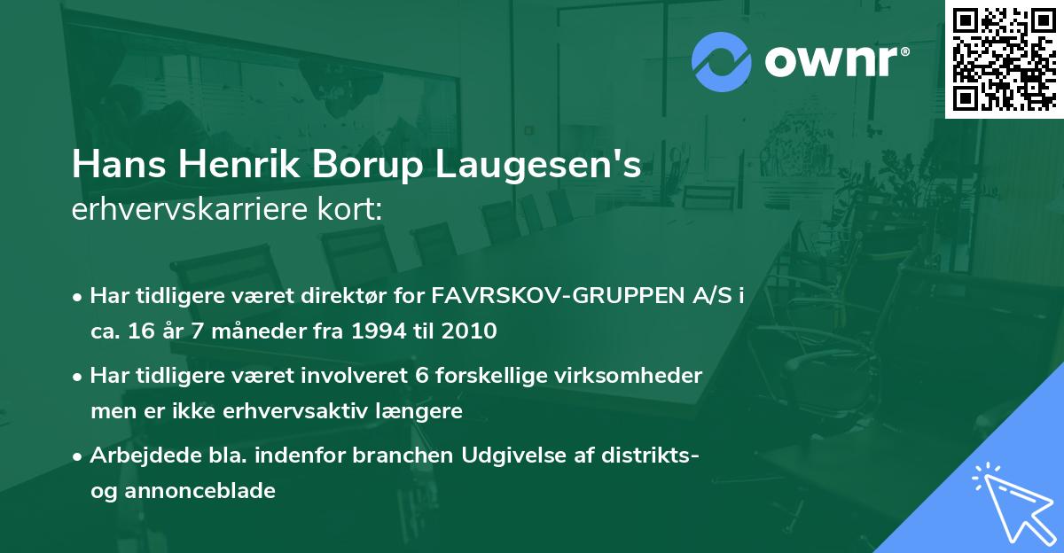Hans Henrik Borup Laugesen's erhvervskarriere kort