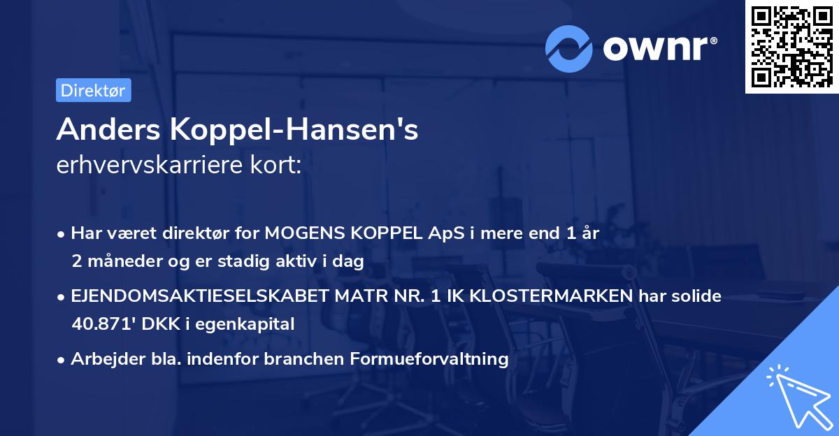 Anders Koppel-Hansen's erhvervskarriere kort