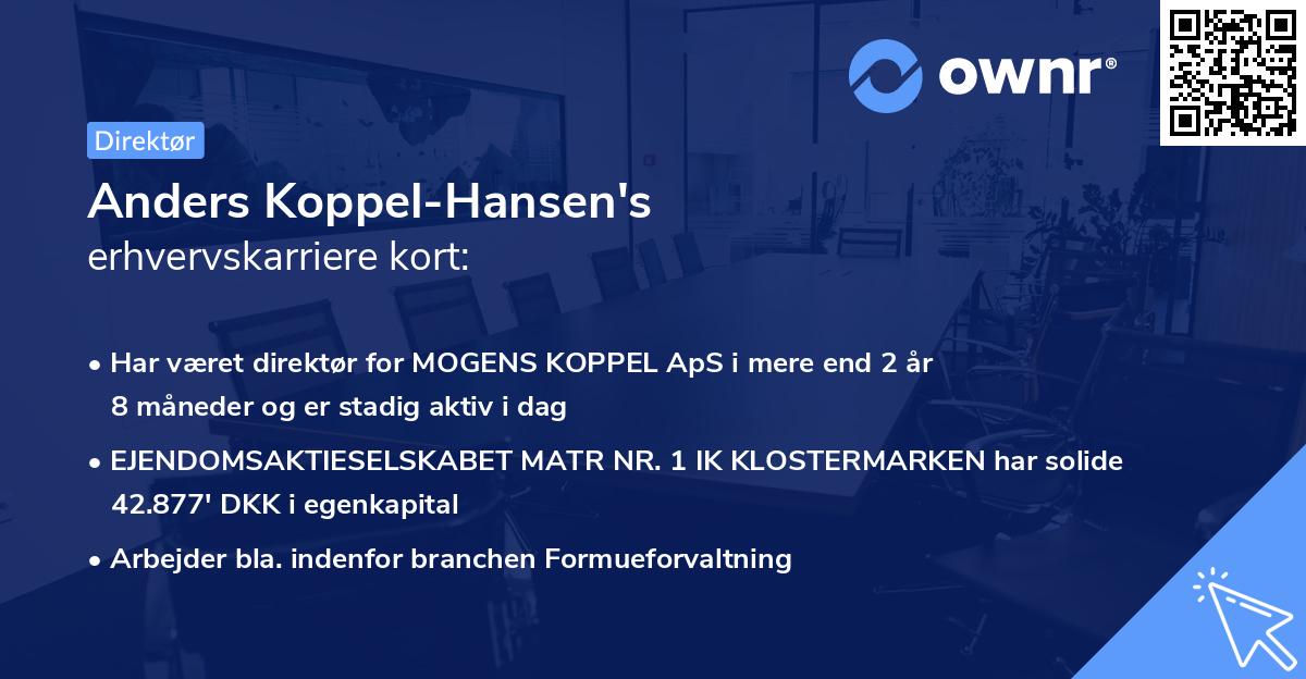 Anders Koppel-Hansen's erhvervskarriere kort