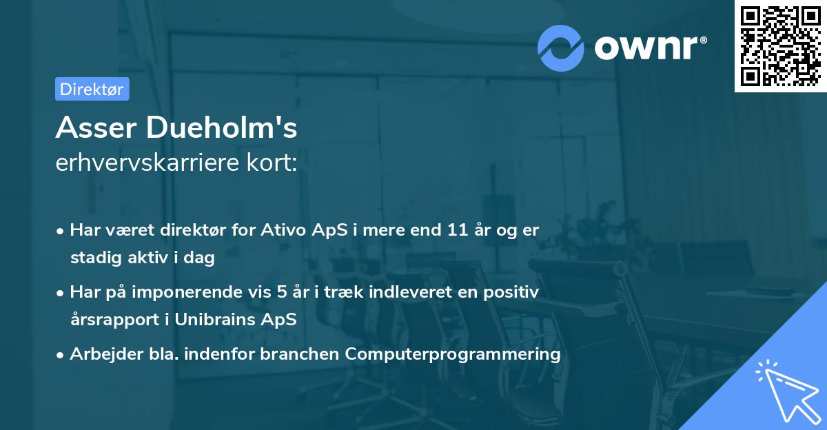 Asser Dueholm's erhvervskarriere kort