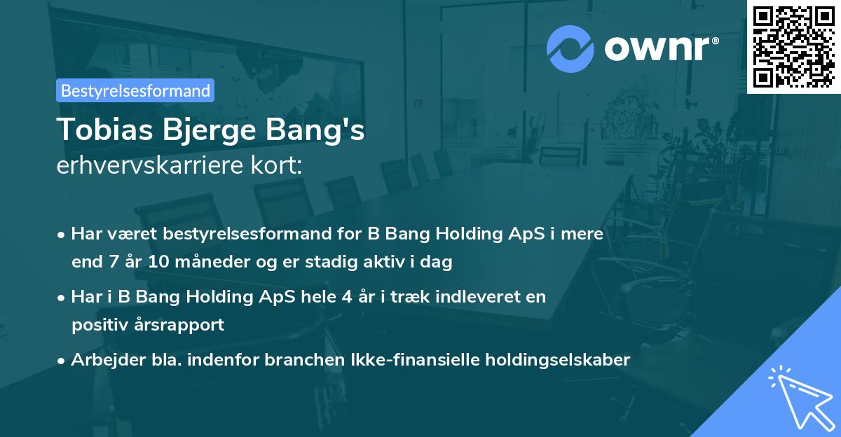 Tobias Bjerge Bang's erhvervskarriere kort
