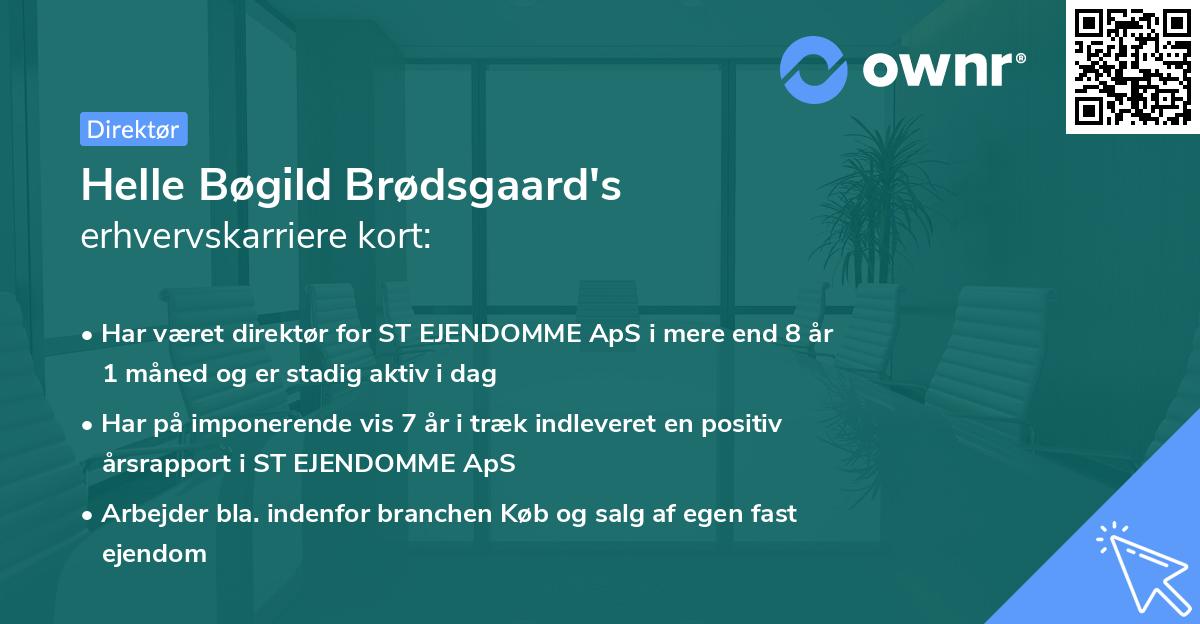Helle Bøgild Brødsgaard's erhvervskarriere kort