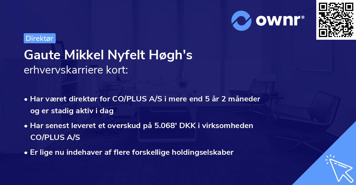 Gaute Mikkel Nyfelt Høgh's erhvervskarriere kort