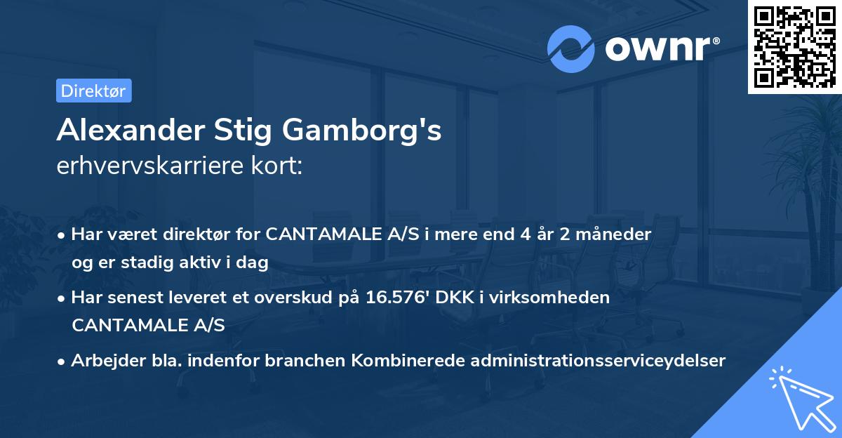 Alexander Stig Gamborg's erhvervskarriere kort