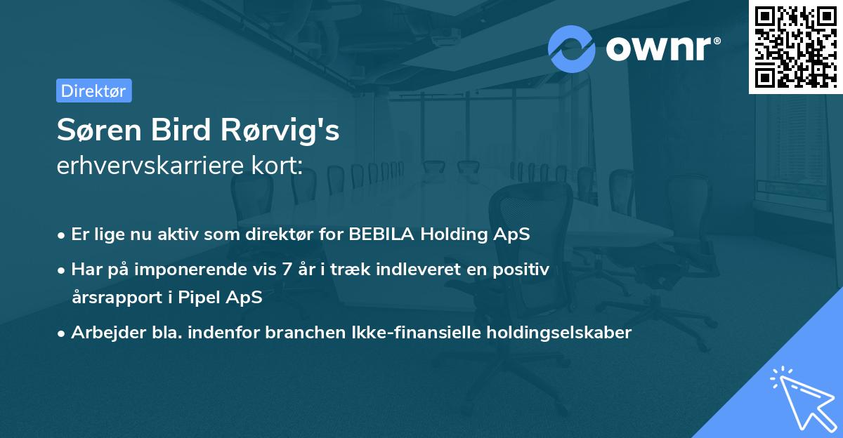 Søren Bird Rørvig's erhvervskarriere kort