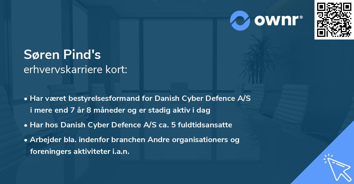 Søren Pind's erhvervskarriere kort