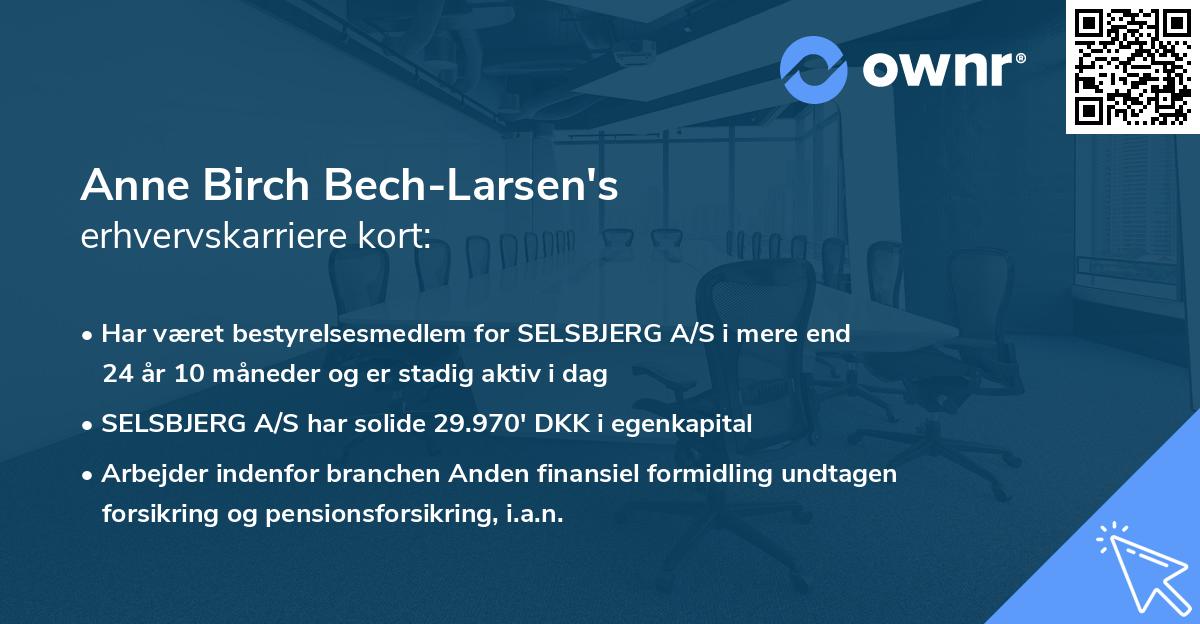 Anne Birch Bech-Larsen's erhvervskarriere kort