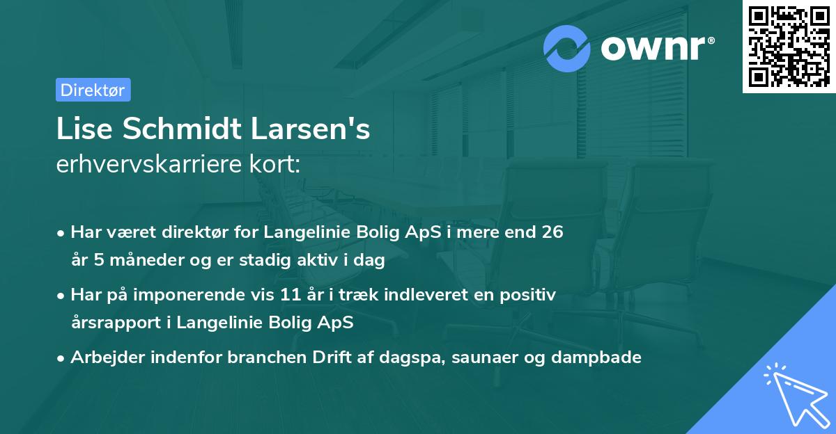 Lise Schmidt Larsen's erhvervskarriere kort