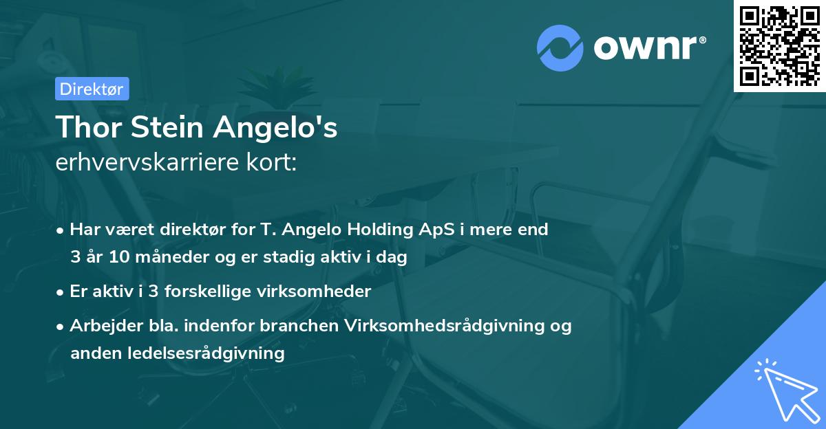 Thor Stein Angelo's erhvervskarriere kort