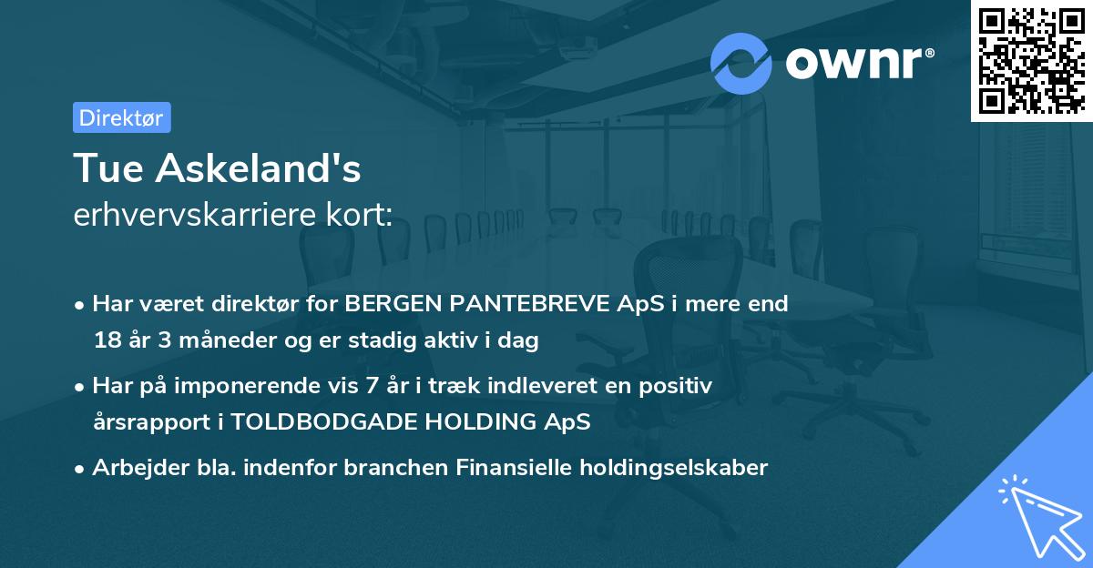 Tue Askeland's erhvervskarriere kort