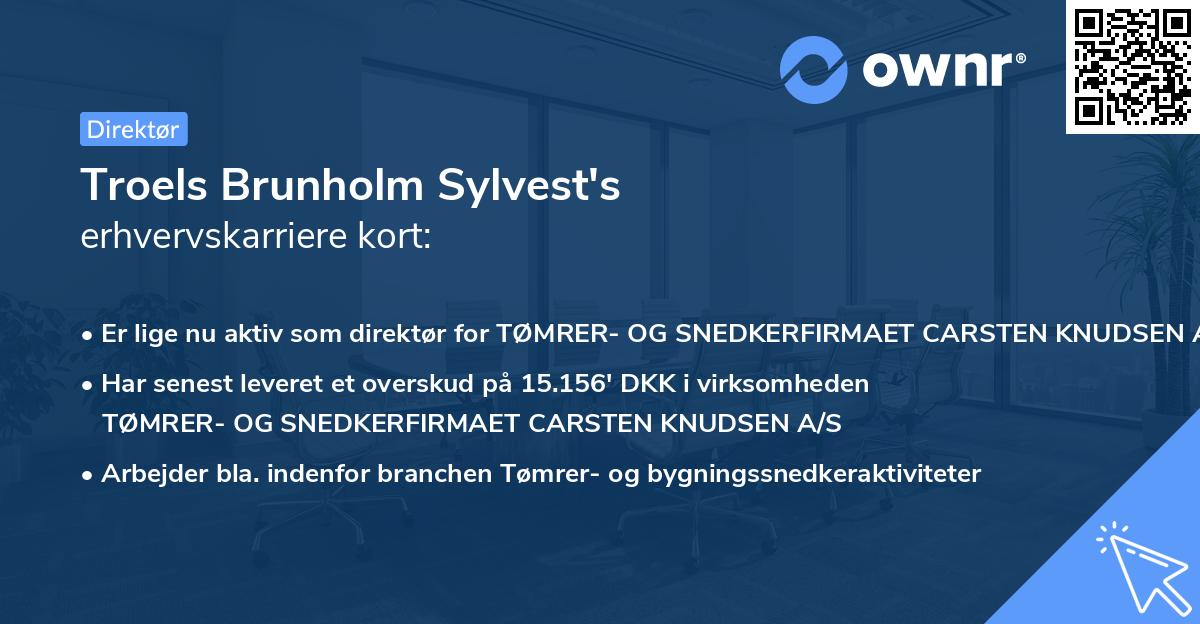 Troels Brunholm Sylvest's erhvervskarriere kort