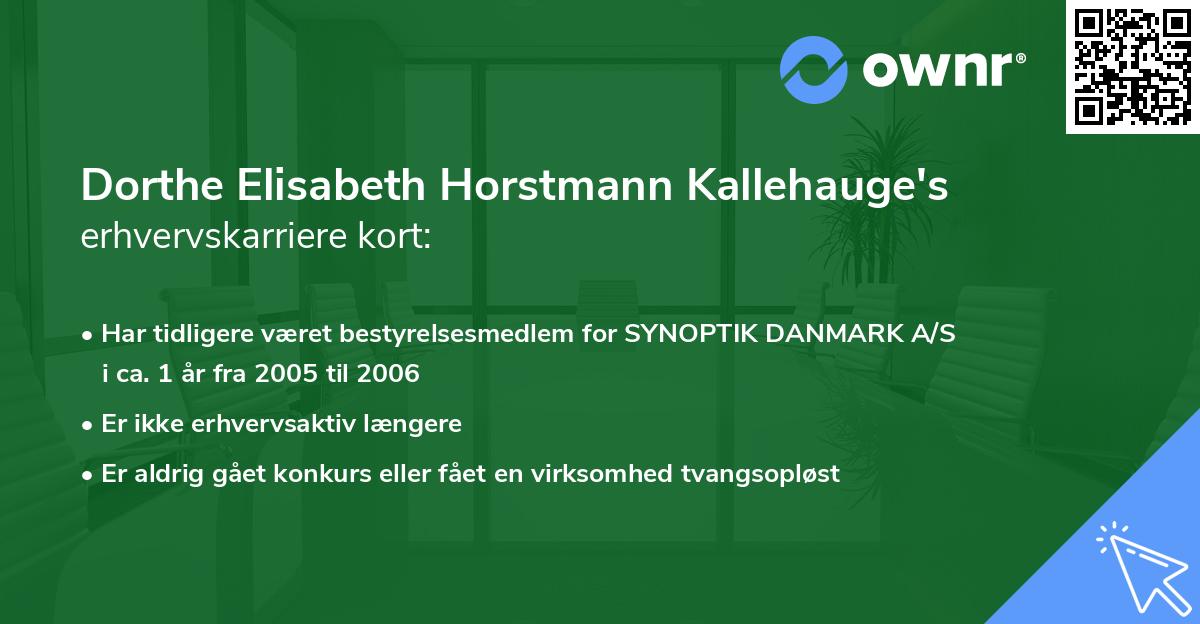 Dorthe Elisabeth Horstmann Kallehauge's erhvervskarriere kort