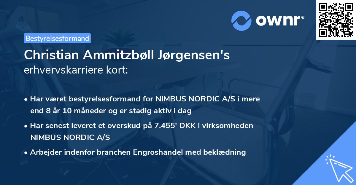 Christian Ammitzbøll Jørgensen's erhvervskarriere kort