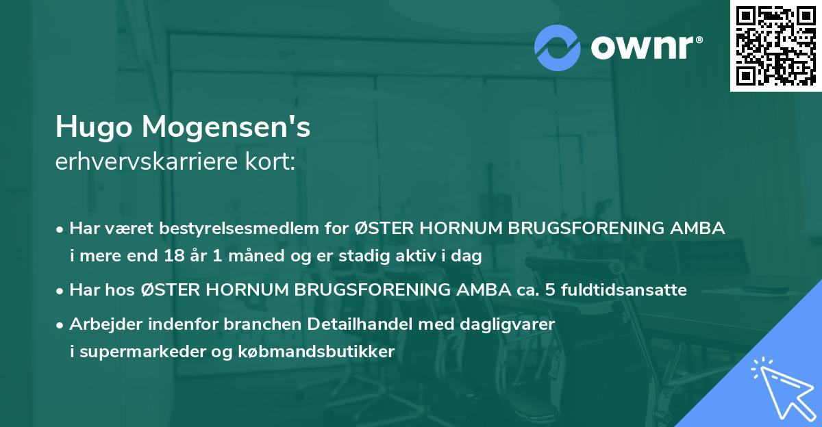 Hugo Mogensen's erhvervskarriere kort