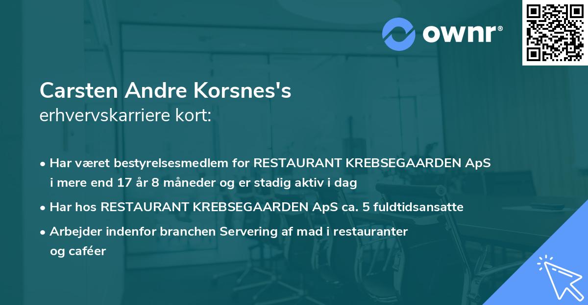 Carsten Andre Korsnes's erhvervskarriere kort