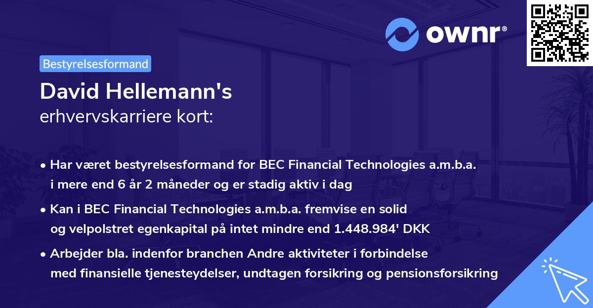 David Hellemann's erhvervskarriere kort