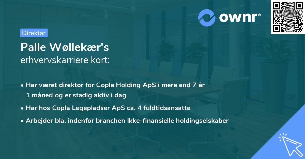 Palle Wøllekær's erhvervskarriere kort