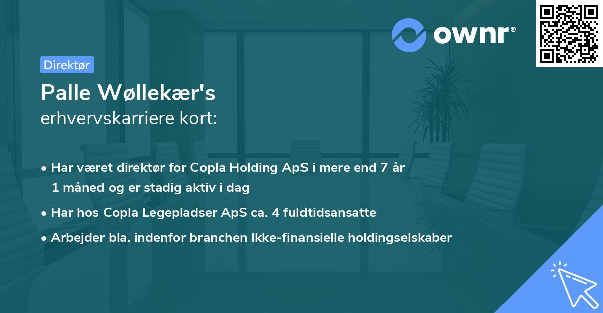 Palle Wøllekær's erhvervskarriere kort