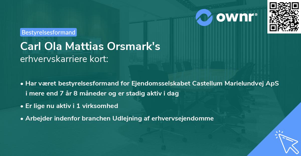 Carl Ola Mattias Orsmark's erhvervskarriere kort