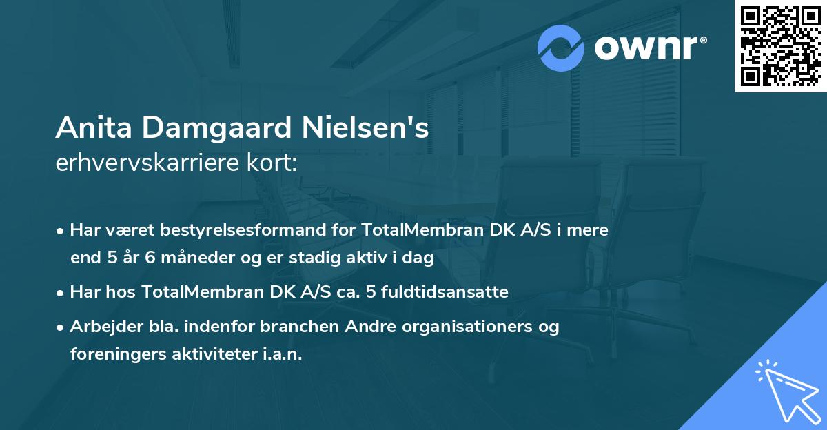 Anita Damgaard Nielsen's erhvervskarriere kort
