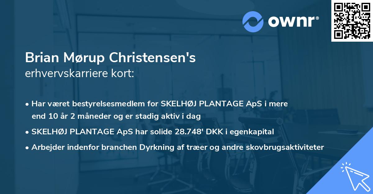 Brian Mørup Christensen's erhvervskarriere kort