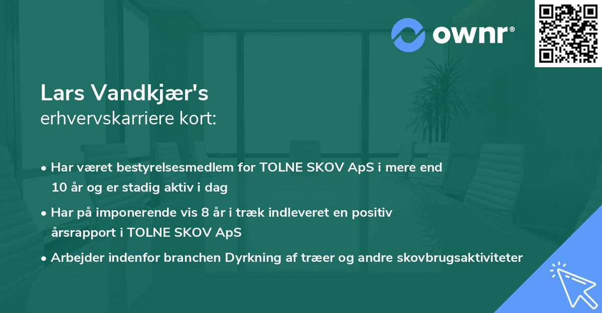 Lars Vandkjær's erhvervskarriere kort