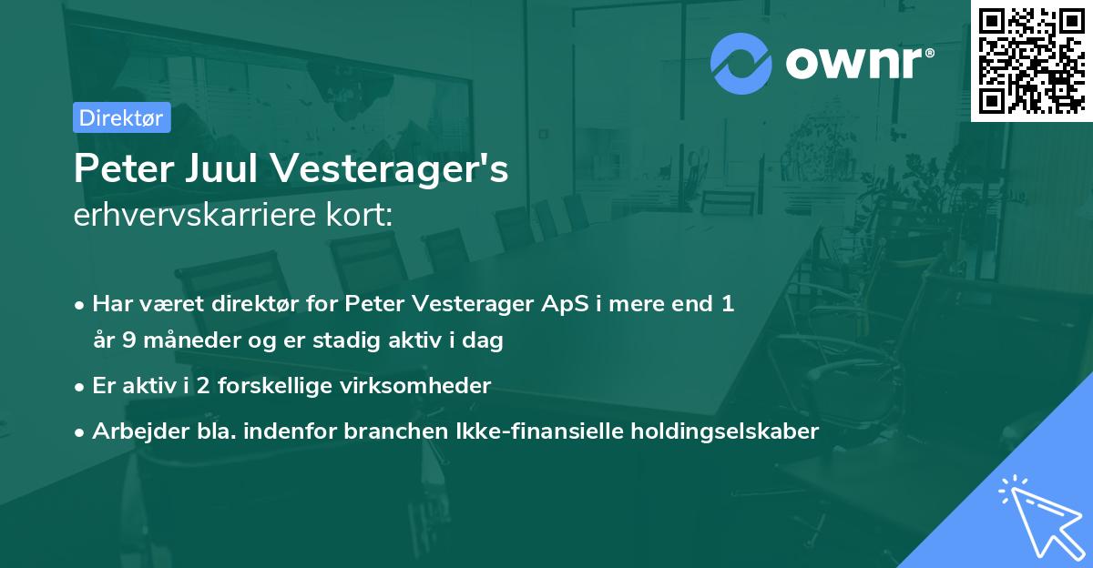 Peter Juul Vesterager's erhvervskarriere kort