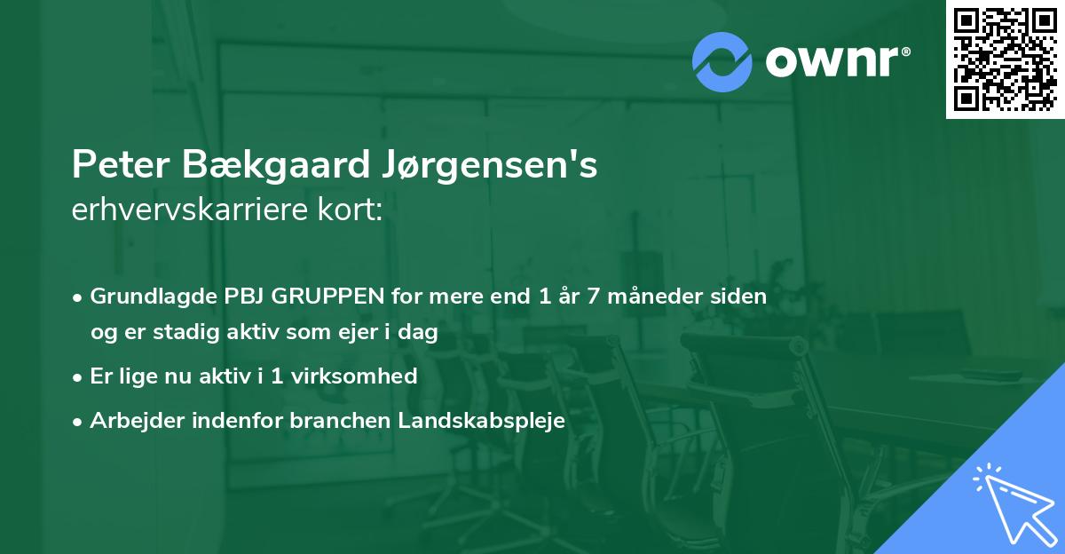 Peter Bækgaard Jørgensen's erhvervskarriere kort