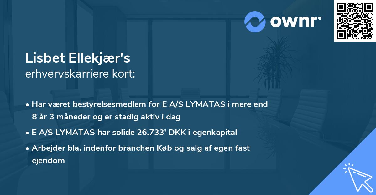 Lisbet Ellekjær's erhvervskarriere kort