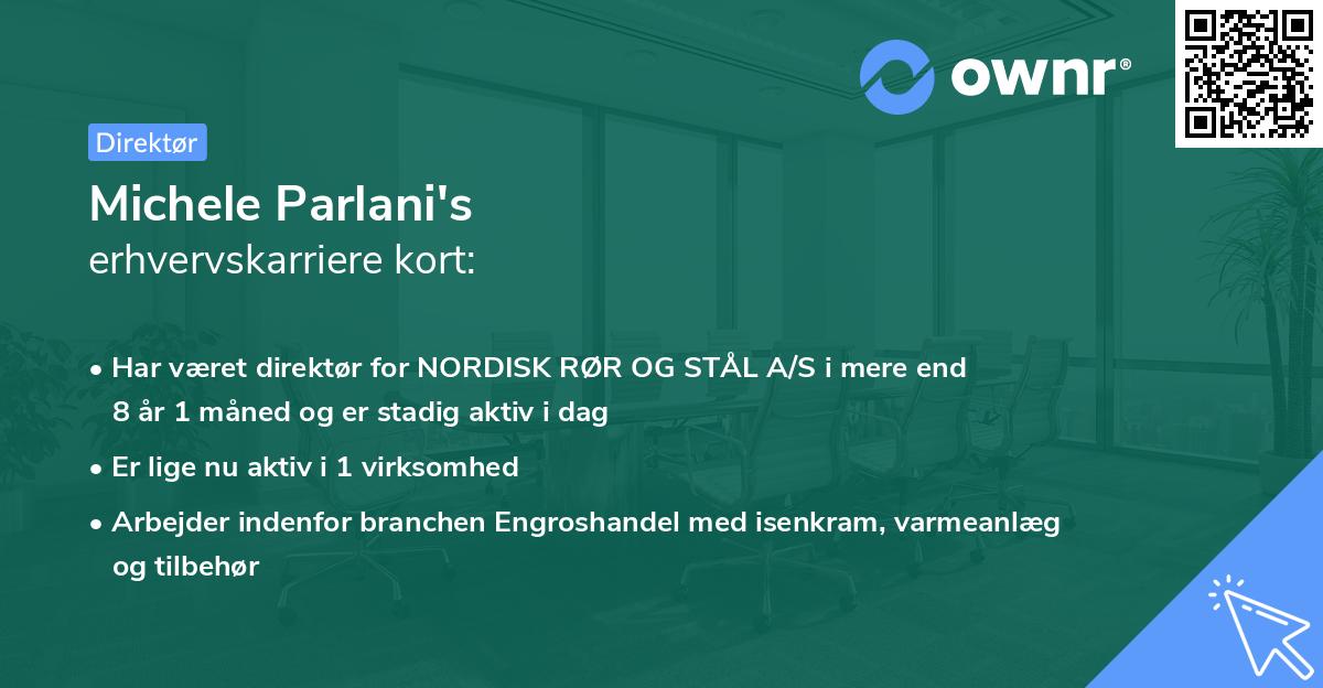 Michele Parlani's erhvervskarriere kort