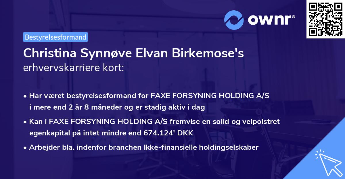 Christina Synnøve Elvan Birkemose's erhvervskarriere kort