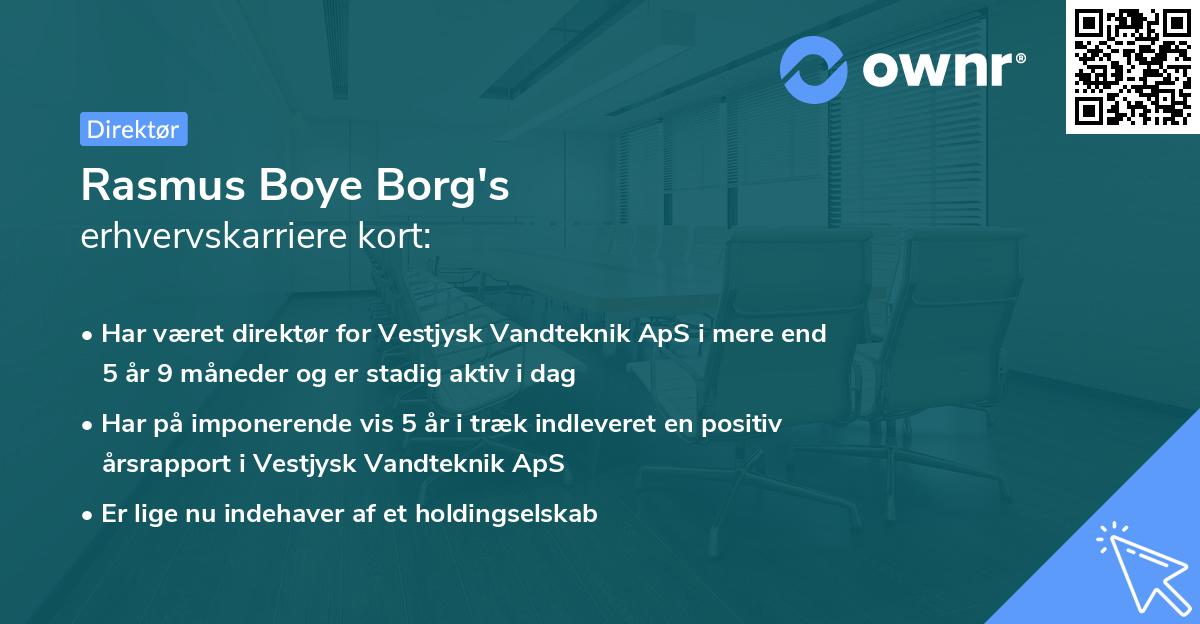 Rasmus Boye Borg's erhvervskarriere kort