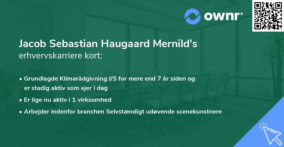 Jacob Sebastian Haugaard Mernild's erhvervskarriere kort