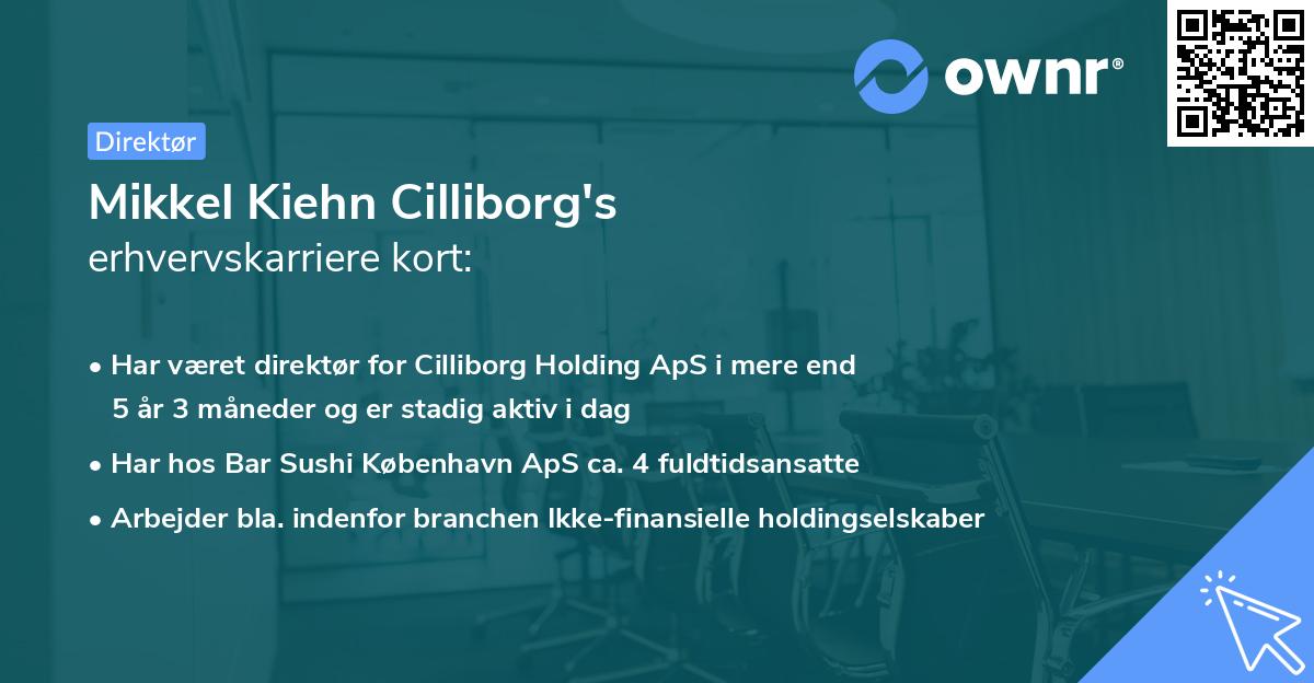 Mikkel Kiehn Cilliborg's erhvervskarriere kort