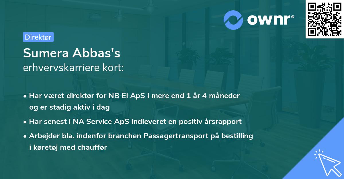 Sumera Abbas's erhvervskarriere kort