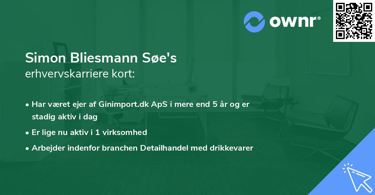 Simon Bliesmann Søe's erhvervskarriere kort