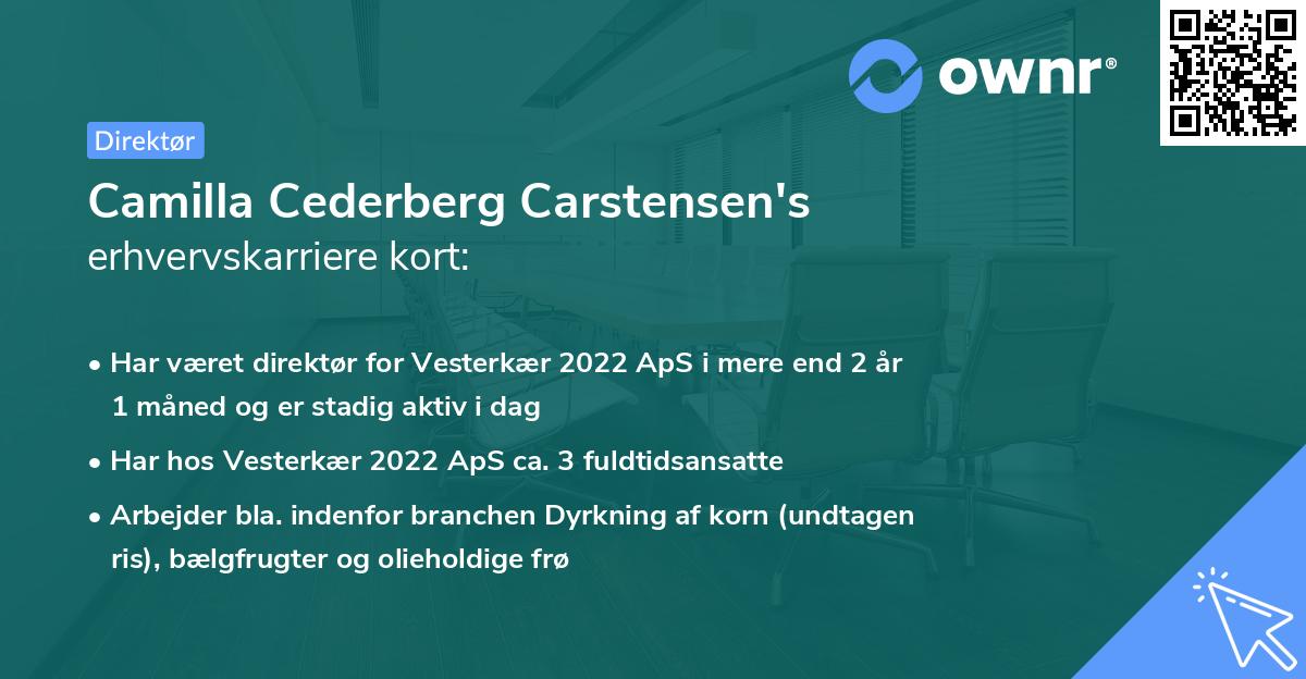 Camilla Cederberg Carstensen's erhvervskarriere kort