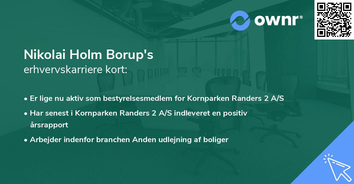 Nikolai Holm Borup's erhvervskarriere kort