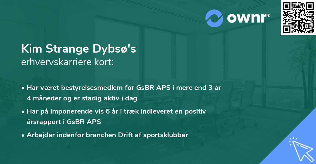 Kim Strange Dybsø's erhvervskarriere kort